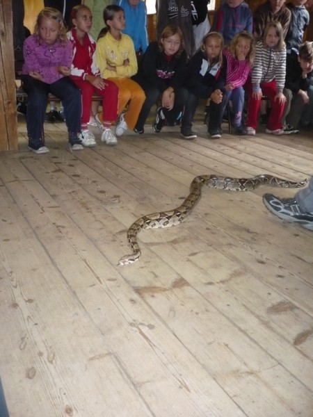 Další